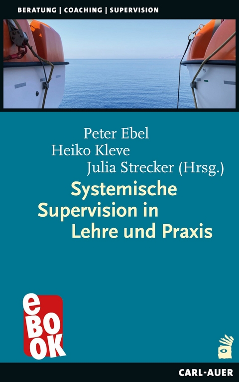 Systemische Supervision in Lehre und Praxis - 