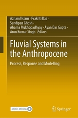 Fluvial Systems in the Anthropocene - 