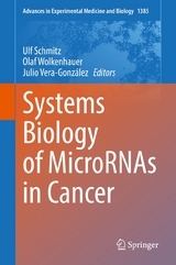 Systems Biology of MicroRNAs in Cancer - 