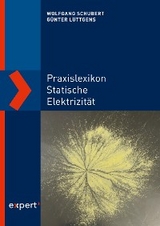 Praxislexikon statische Elektrizität - Wolfgang Schubert, Günter Lüttgens