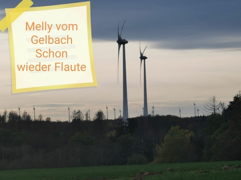 Schon wieder Flaute -  Melly vom Gelbach