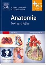Anatomie - Herbert Lippert, Desiree Herbold, Wunna Lippert-Burmester