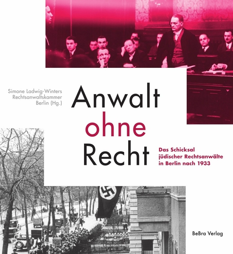 Anwalt ohne Recht - Simone Ladwig-Winters