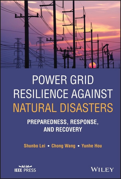 Power Grid Resilience against Natural Disasters -  Yunhe Hou,  Shunbo Lei,  Chong Wang