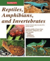 Reptiles, Amphibians and Invertebrates - Bartlett, R. D.; Bartlett, Patricia