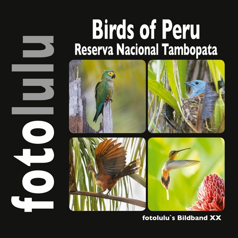 Birds of Peru - Sr. fotolulu