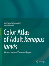 Color Atlas of Adult Xenopus laevis - Alois Lametschwandtner, Bernd Minnich