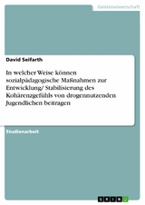 In welcher Weise können sozialpädagogische Maßnahmen zur Entwicklung/ Stabilisierung des Kohärenzgefühls von drogennutzenden Jugendlichen beitragen -  David Seifarth