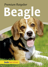 Beagle - Annette Schmitt