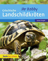 Griechische Landschildkröten - Zirngibl, Rainer