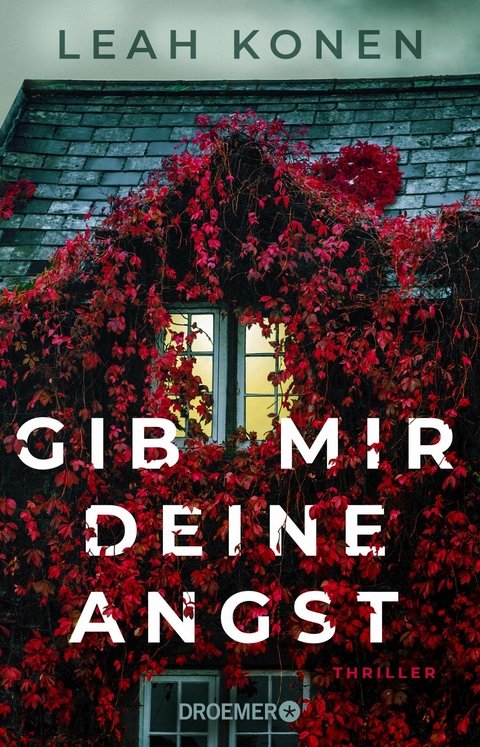 Gib mir deine Angst -  Leah Konen