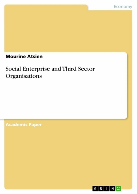 Social Enterprise and Third Sector Organisations - Mourine Atsien