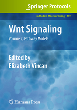 Wnt Signaling - 