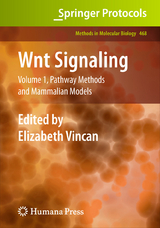 Wnt Signaling - 