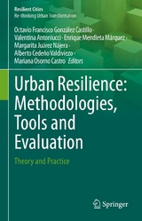 Urban Resilience: Methodologies, Tools and Evaluation - 