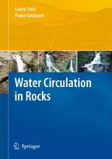 Water Circulation in Rocks - Laura Scesi, Paola Gattinoni