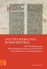 Gottes Werk und Bosos Beitrag -  Stephan Pongratz