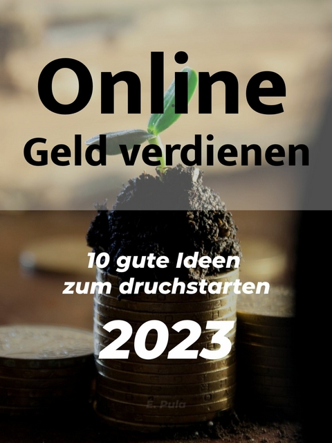 Online geld verdienen - 10 praktische Ideen -  Enis Pula