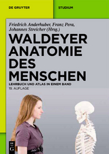 Waldeyer - Anatomie des Menschen - 