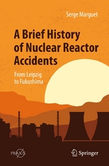 A Brief History of Nuclear Reactor Accidents -  Serge Marguet