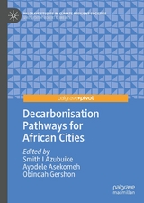 Decarbonisation Pathways for African Cities - 