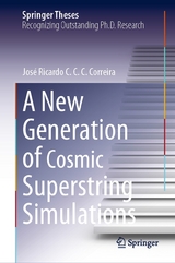 A New Generation of Cosmic Superstring Simulations -  José Ricardo C. C. C. Correira
