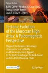 Tectonic Evolution of the Moroccan High Atlas: A Paleomagnetic Perspective - 