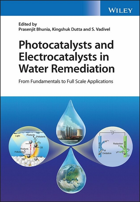 Photocatalysts and Electrocatalysts in Water Remediation - 