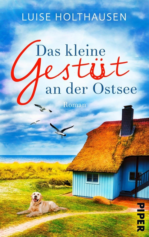 Das kleine Gestüt an der Ostsee -  Luise Holthausen