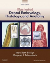 Illustrated Dental Embryology, Histology, and Anatomy - Bath-Balogh, Mary; Fehrenbach, Margaret J.