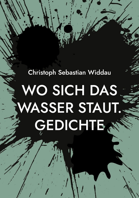Wo sich das Wasser staut - Christoph Sebastian Widdau