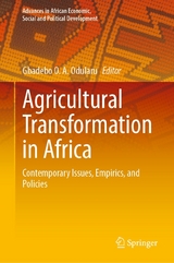 Agricultural Transformation in Africa - 