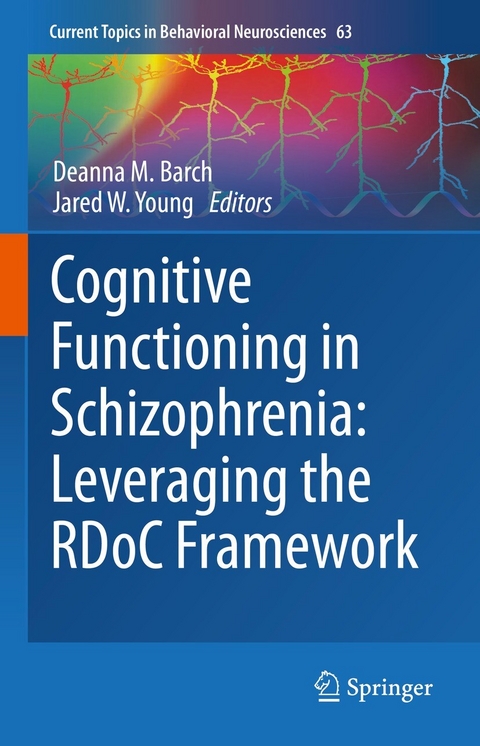 Cognitive Functioning in Schizophrenia:  Leveraging the RDoC Framework - 