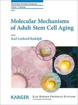 Molecular Mechanisms of Adult Stem Cell Aging - 
