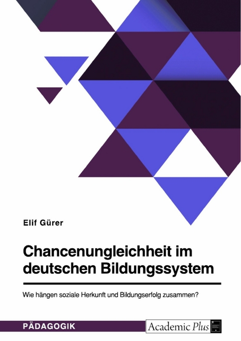 Chancenungleichheit im deutschen Bildungssystem. Wie hängen soziale Herkunft und Bildungserfolg zusammen? - Elif Gürer