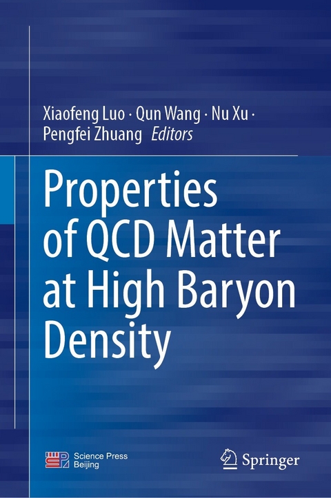Properties of QCD Matter at High Baryon Density - 
