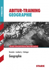 Abitur-Training Erdkunde / Geographie - Thomas Kremsler, Kay Sickinger, Michael Lamberty