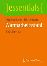 Warmarbeitsstahl - Joachim Schlegel, Till Schneiders