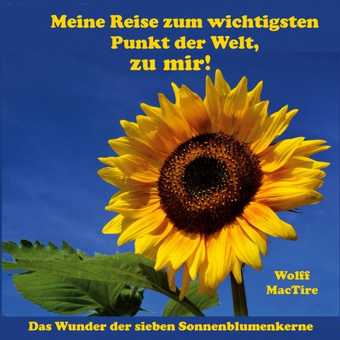 Meine Reise zum wichtigsten Punkt der Welt, zu mir! - Wolff MacTire