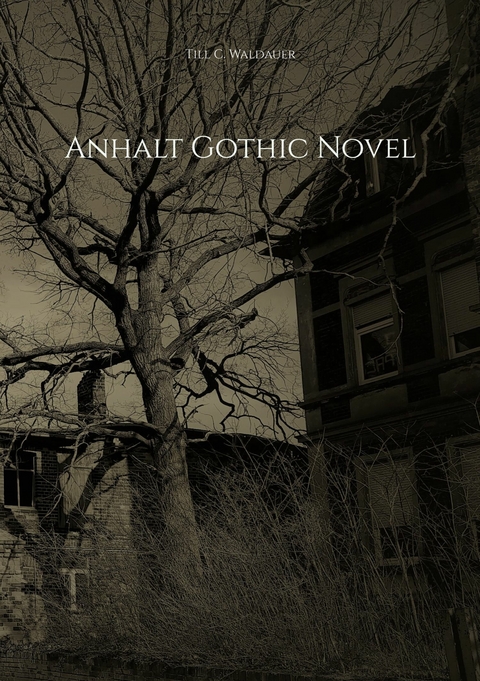 Anhalt Gothic Novel - Till C. Waldauer