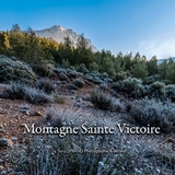 Montagne Sainte Victoire - Chroniques 2022 - Tony Dinand