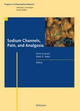 Sodium Channels, Pain, and Analgesia - 