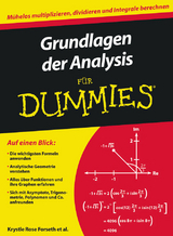 Grundlagen der Analysis für Dummies - Krystle Rose Forseth, Christopher Burger, Michelle Rose Gilman, Deborah J. Rumsey, Mark Ryan