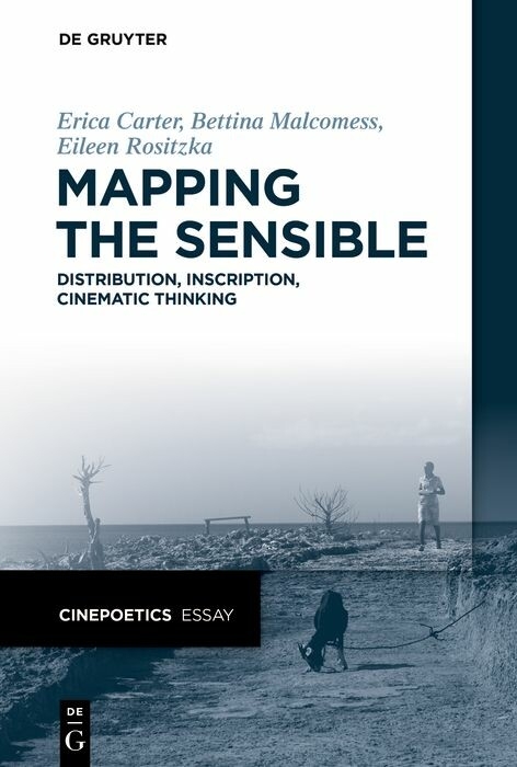 Mapping the Sensible -  Erica Carter,  Bettina Malcomess,  Eileen Rositzka