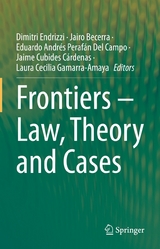 Frontiers - Law, Theory and Cases - 