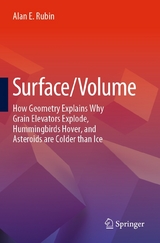 Surface/Volume -  Alan E. Rubin