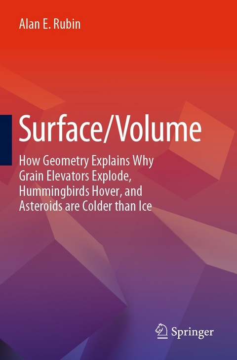 Surface/Volume -  Alan E. Rubin