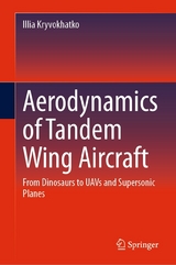 Aerodynamics of Tandem Wing Aircraft -  Illia Kryvokhatko