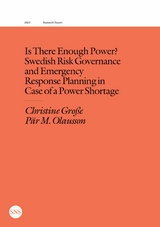 Is There Enough Power? - Christine Große, Pär M. Olausson