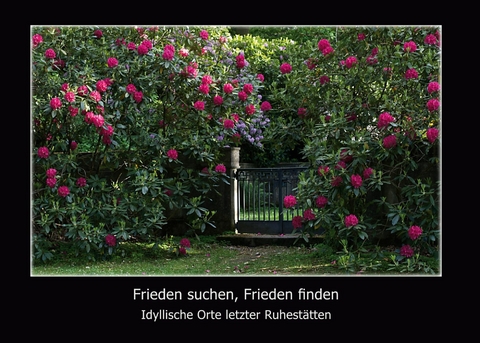 Frieden suchen, Frieden finden -  Christel Schweser